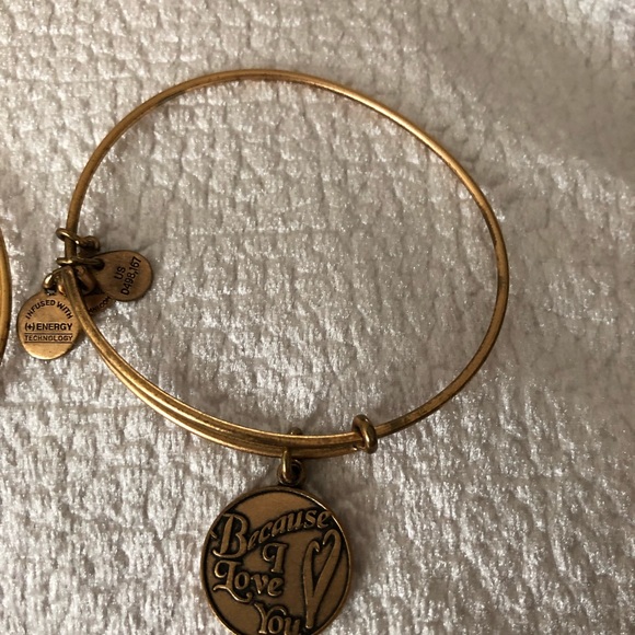 Alex and Ani charm bracelets - Picture 4 of 4